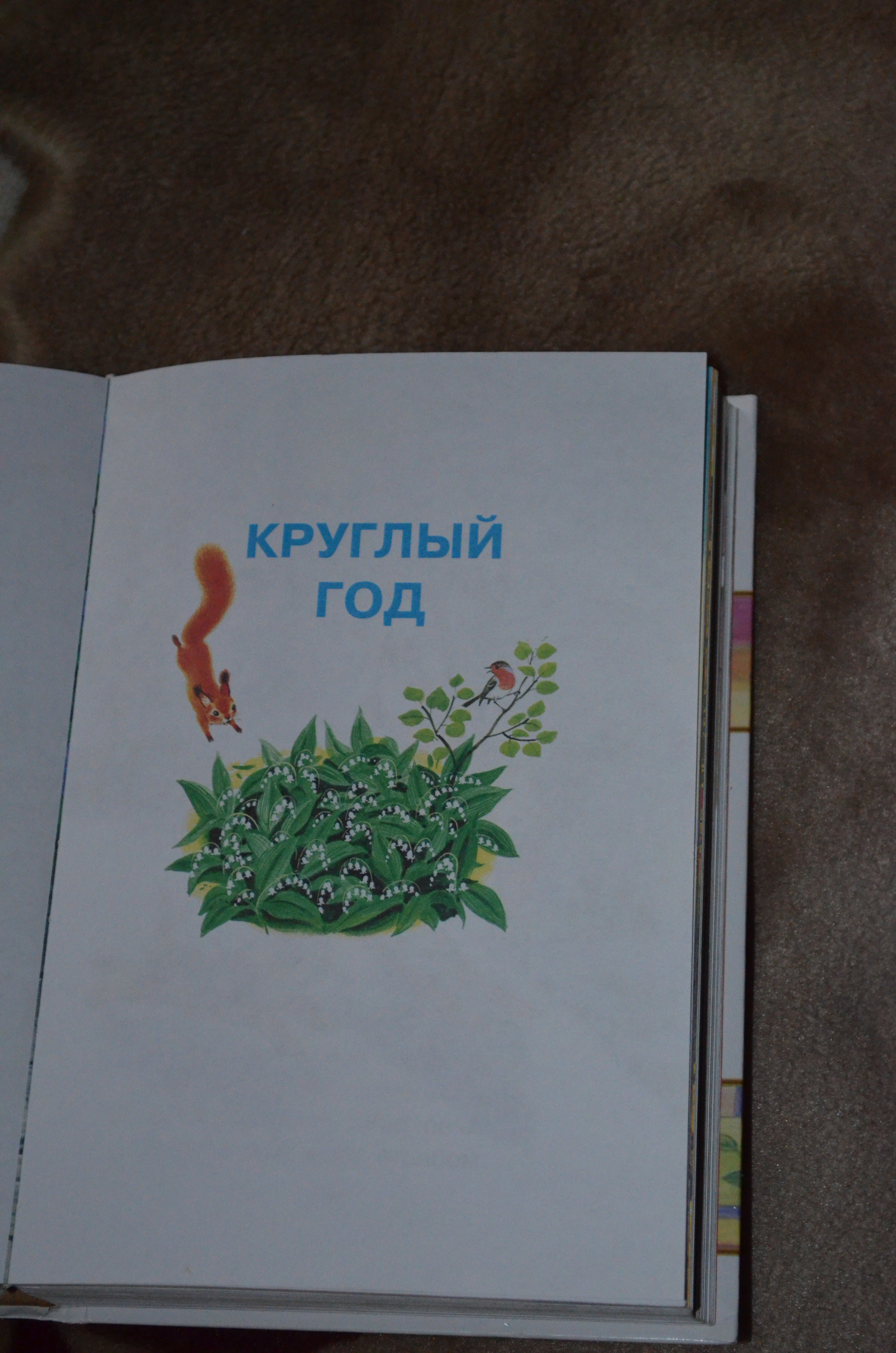 осеняя сказка
